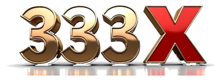 333 x logo
